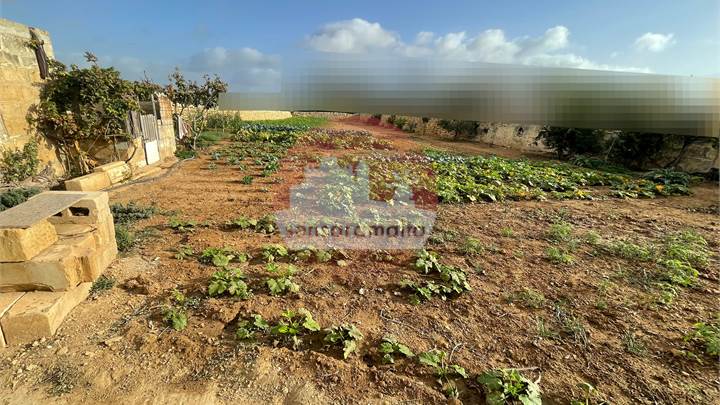 Zejtun - Farmhouse with a circa 1,5 tumuli