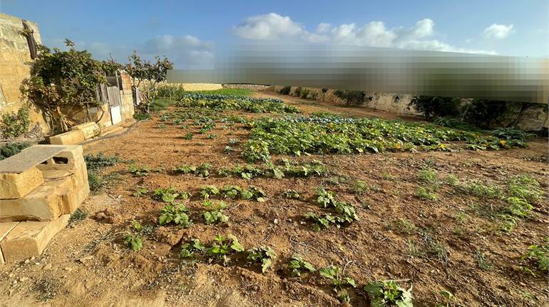 Zejtun - Farmhouse with a circa 1,5 tumuli