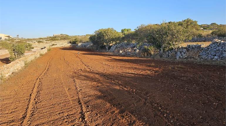 Dingli - 1.8 Tumuli Agriculture Land + Buskett Verdala Views