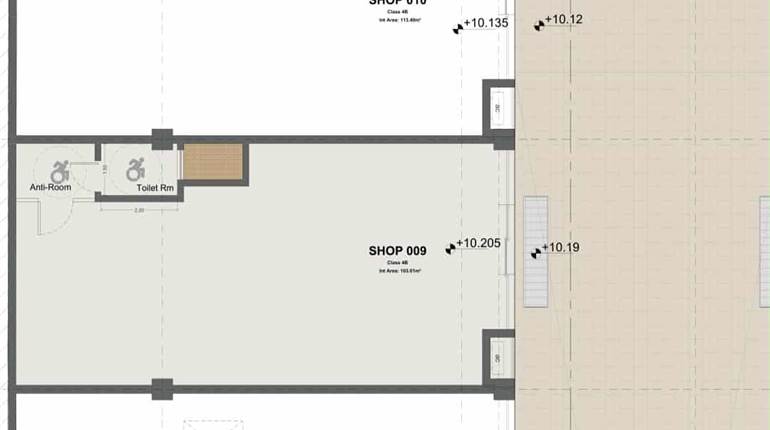 Paola - Class 4B Shop