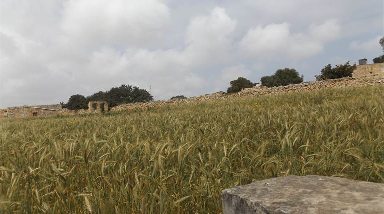 San Gwann, over tumoli of land presently ODZ 