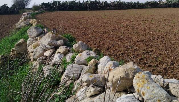 Zejtun - Circa 11,000sqm of land in a White Area