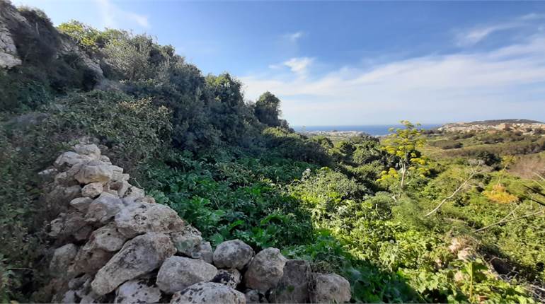 Agricultural Field for sale in Xaghra Gozo