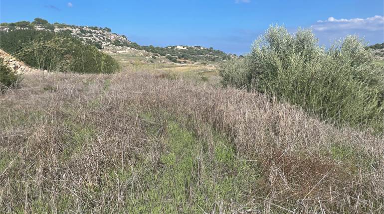 Wardija - 4.5 Tumoli of Agricultural Fields