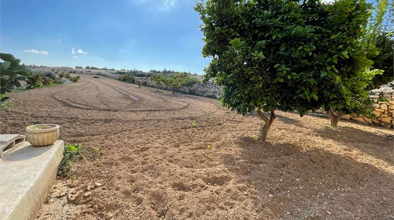 Zebbug - 3 Bedroom F/House + circa 2000sq fields