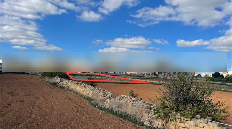 Zabbar - Agricultural Field + Water