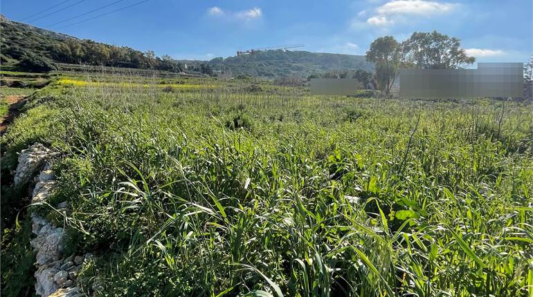 Xemxija -  1 Tumolo Agricultural  Field + Water