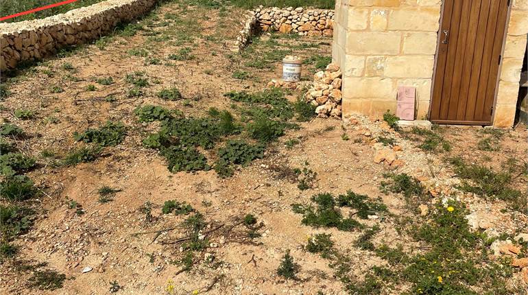 Dingli - Agricultural Field+Pump Room+Gate 756sqm