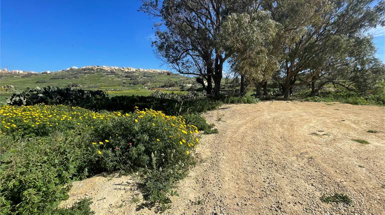 Ghasri Gozo - Farm with 4 Tumoli 