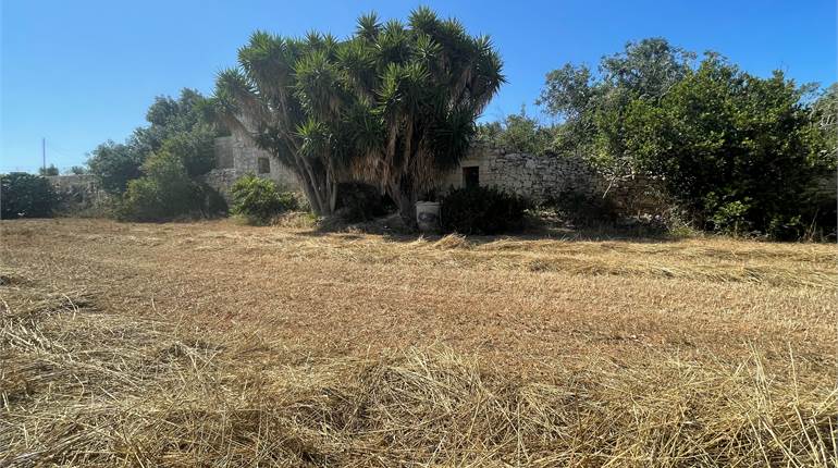 Farmhouse, Zebbug enj. 4000 sqm