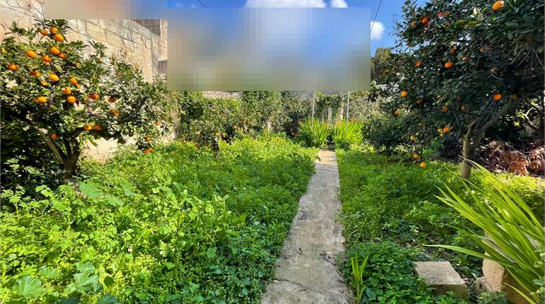 Mosta - Town House + Garden 