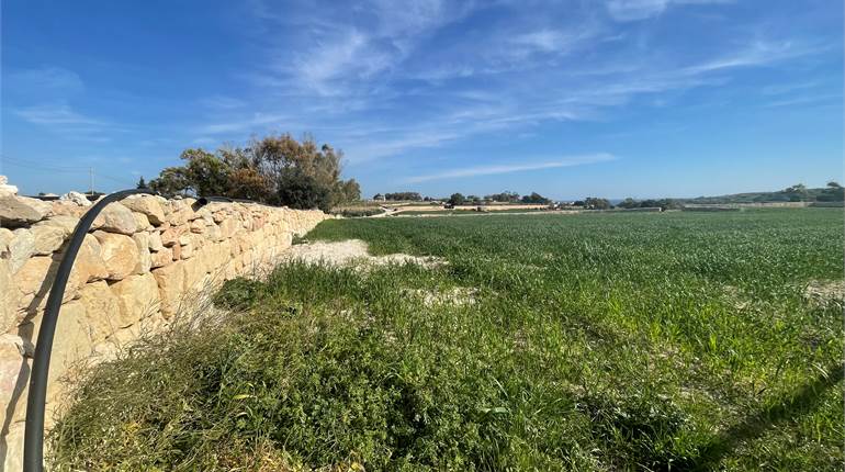 Delimara - Circa 2 Tumolo Agricultural Field