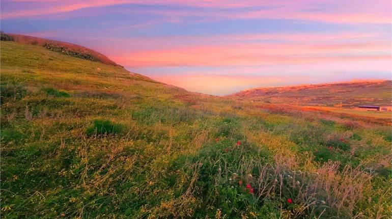 Ghasri Gozo - Agricultural Land