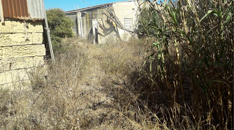 Zejtun - Farmhouse approx. 2.5 Tumoli of Land